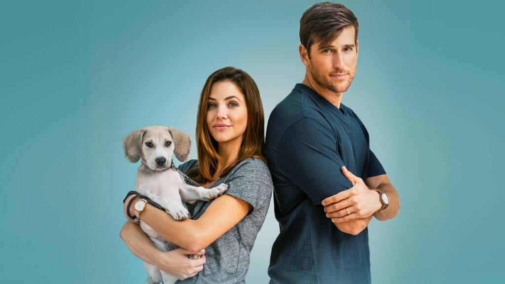 Channel profile: Movies 24 - Sky Media Channel profile: Movies 24 - Sky Media