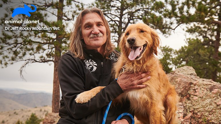 Channel profile: Animal Planet - Sky Media Channel profile: Animal Planet - Sky Media